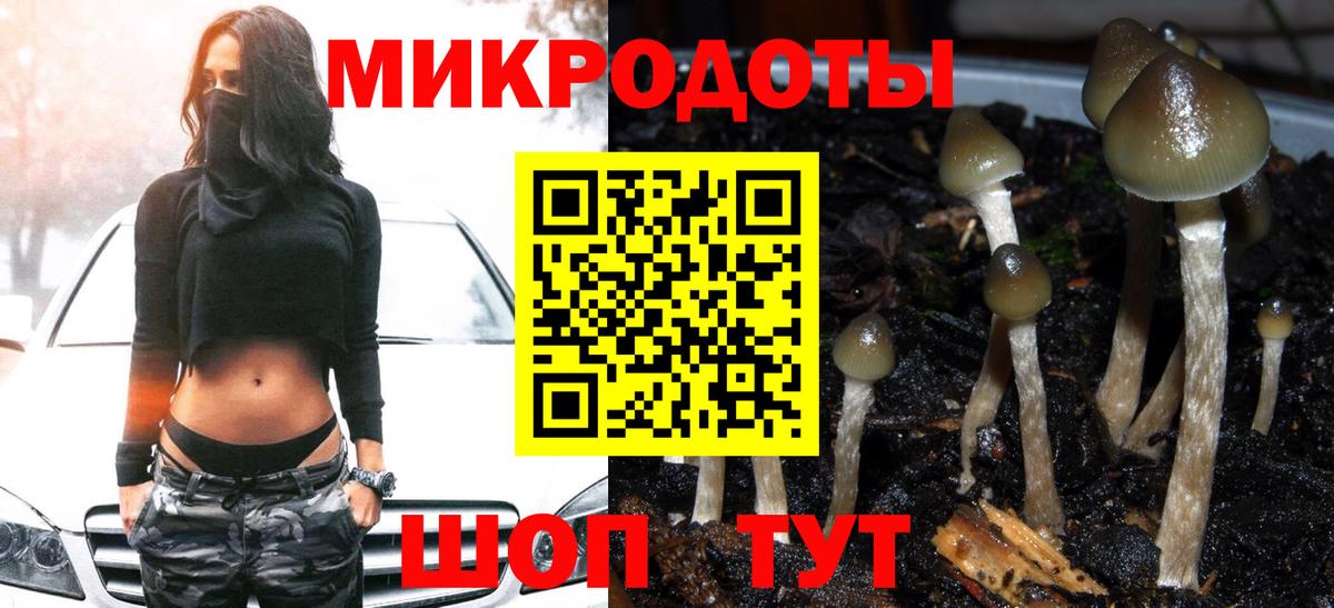 Псилоцибиновые грибы ЛСД  Вход с VPN  Ялуторовск 